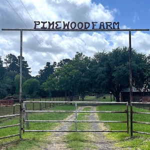 40 Acres, Log Home, 3 Barns, Fenced, Working Pens, Cattle &amp; Horse Property