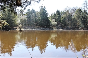22.189 acres, Pond, Creek, 100% Wooded Hunting &amp; Recreational Property