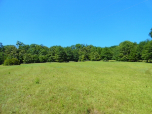 12.99 Acres, 50% woods, Fenced, County road Frontage !!!