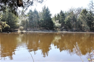 22.82 Acres, Wooded, Pond, Fenced, Deer &amp; Hogs