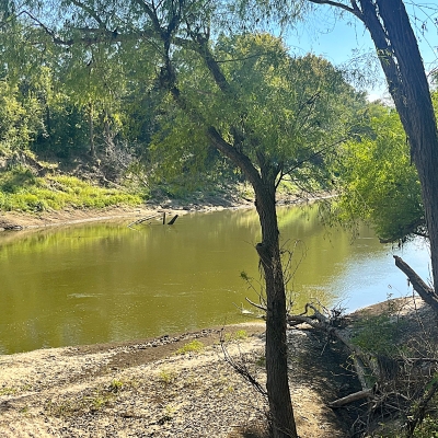 6.498 Acres, 100% Wooded, Keechi Creek Frontage, Hunting, Fishing, Camping