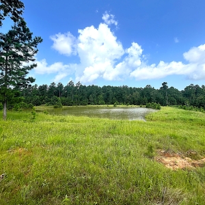 +/- 135 acres Beautiful Pasture, 2 Acre Lake, View for Miles