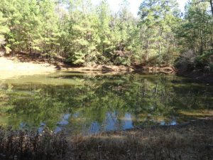 18.78 acre hunting and recreational property, great weekend retreat