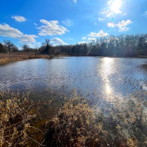 19.731 Acres, 1ac Pond, Completely Fenced, County Road Frontage