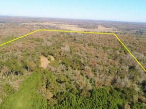 135 acres of hunting and recreation property
