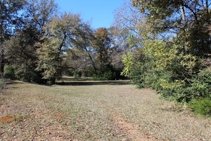 12.01 Acres, Cabin, Scattered Oaks Trees, Fenced, Unrestricted